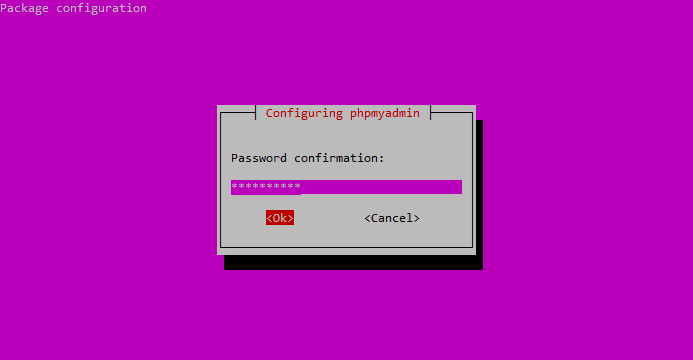 phpMyAdmin Package Configuration Confirm phpMyAdmin Password